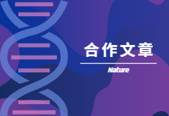 登顶Nature|产量+抗性，鱼和熊掌也可兼得